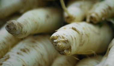 Jemy tylko na Wielkanoc, a to ogromny błąd. Chrzan i jego nieoceniony wpływ na organizm