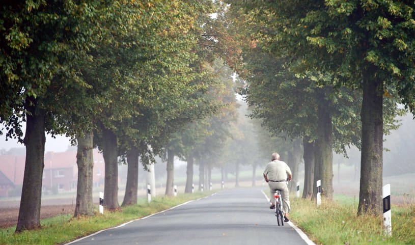 Jesień coraz bliżej... /Ole Spata /PAP/EPA