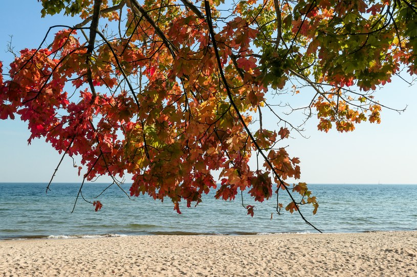 Jesień nad Bałtykiem potrafi być naprawdę piękna /123RF/PICSEL