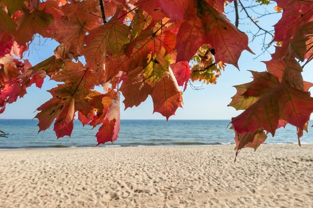 Jesień nad Bałtykiem /Shutterstock