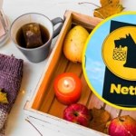 Jesień przyszła do mojego domu prosto z Netto – i to za grosze!