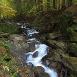 Jesień w Bieszczadach? Koniecznie wybierz się nad ten malowniczy wodospad 