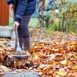 Jesień w pełni, działkowcy muszą wiedzieć, nim zaczną porządki. Mandaty są ogromne
