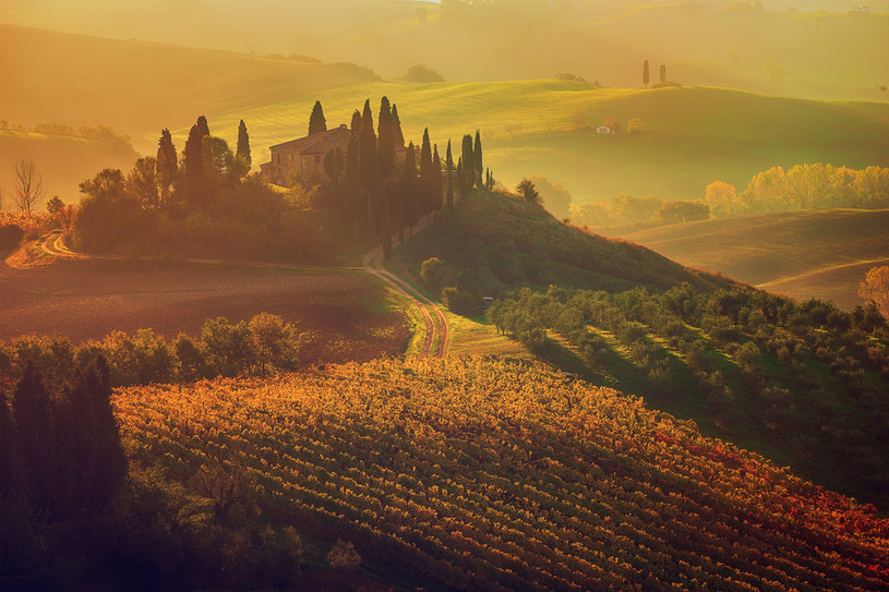 Jesień we własnej winnicy w Toskanii? Tanio nie będzie! (zdj. ilustracyjne) /123RF/PICSEL