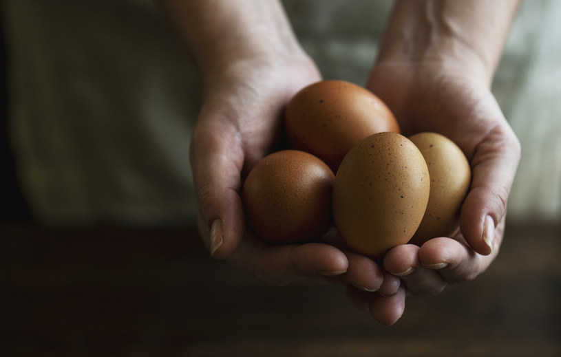 Jesienią jaja w Polsce będą drogie /123RF/PICSEL
