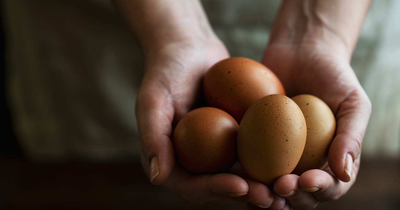 Jesienią jaja w Polsce będą drogie /123RF/PICSEL