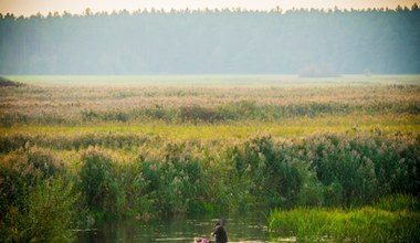 Jesienią koniecznie odwiedź "europejską Amazonię". Nie miałeś pojęcia, że takie miejsce istnieje