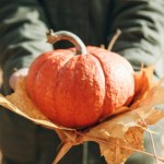 dynia właściwości Jesienią warto jeść ją częściej. Dynia wspiera wzrok i pomaga dbać o sylwetkę