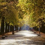 ​Jesienie na Węgrzech są coraz cieplejsze
