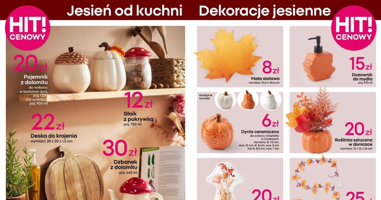 Jesienna kolekcja Pepco zachwyca! Tyle zapłacisz za najpiękniejsze dekoracje do domu /Pepco