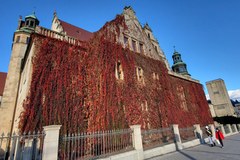 Jesienna ściana rektoratu UAM w Poznaniu