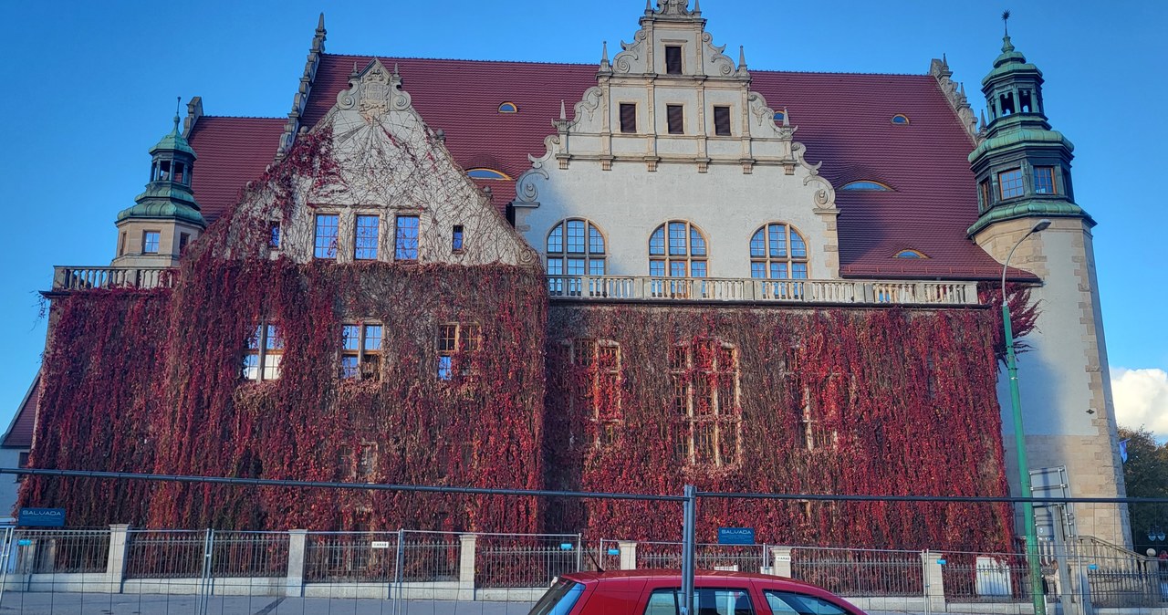 Jesienna ściana rektoratu UAM w Poznaniu