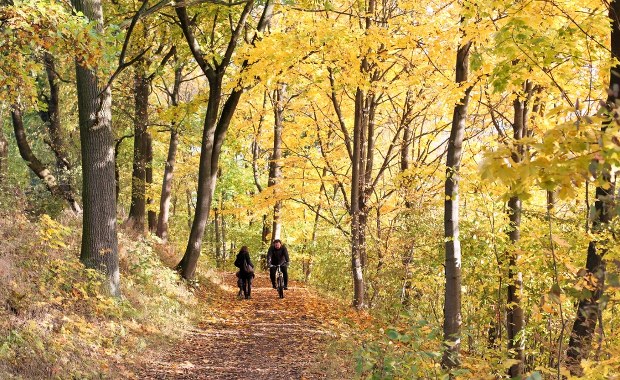 Jesienna szaruga odchodzi w niepamięć. Te prognozy Cię ucieszą