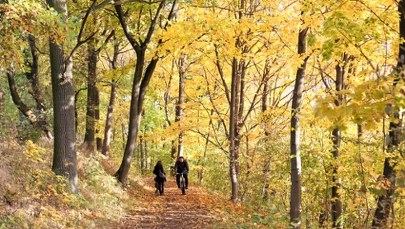 Jesienna szaruga odchodzi w niepamięć. Te prognozy Cię ucieszą