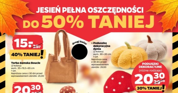 Jesienne dekoracje i akcesoria 50% taniej w Netto /Netto /INTERIA.PL
