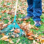 Jesienne porządki na działce i w ogrodzie. Uważaj, za to dadzą ci mandat