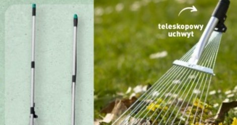 Jesienne porządki z ALDI /Aldi /INTERIA.PL