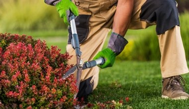 Jesienne prace ogrodowe taniej z Aldi - sekator i rękawice w promocji!