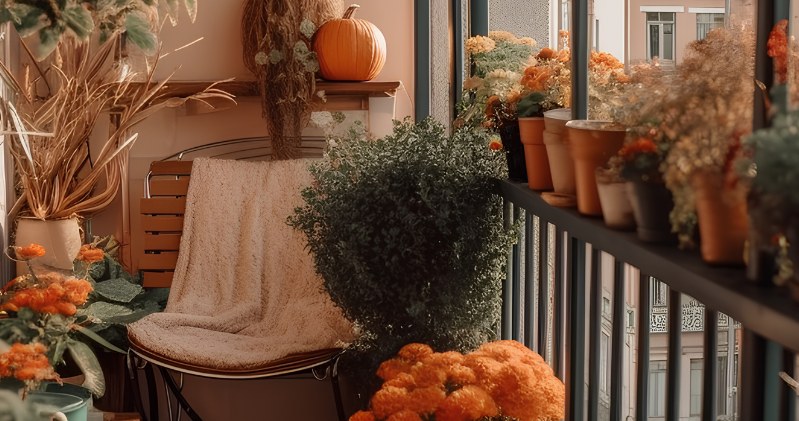 Jesienny balkon może być jeszcze piękniejszy i bardziej kolorowy niż letni /Pixel
