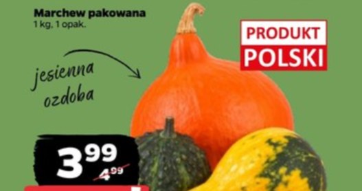 Jesienny hit w Netto – dynie, które podbijają kuchnie i dekoracje! /Netto /INTERIA.PL