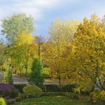 Jesienny quiz dla każdego. 10/10 może zgarnąć każdy. Sprawdź się!