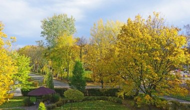 Jesienny quiz dla każdego. 10/10 może zgarnąć każdy. Sprawdź się!