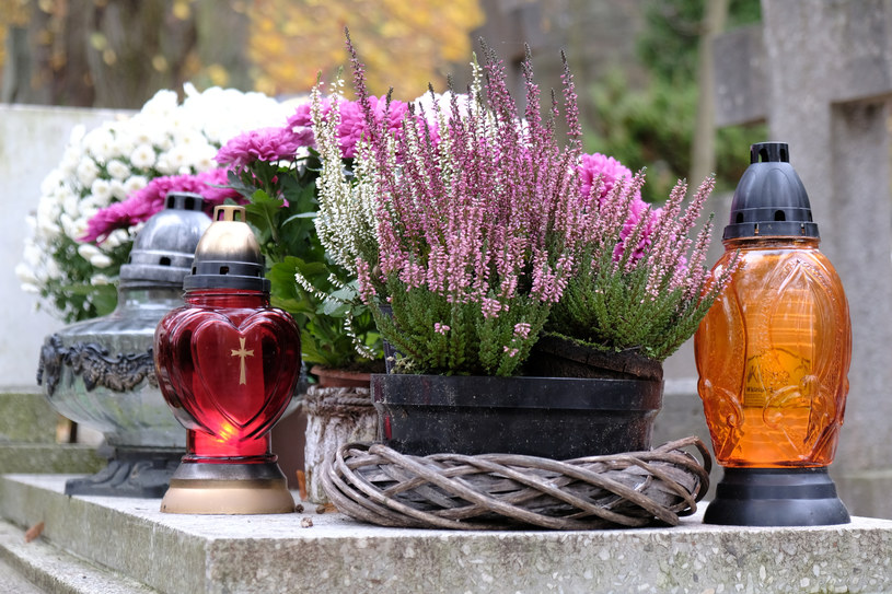 Jeśli chodzi o kwiaty żywe, Polacy najczęściej wybierają na grób chryzantemy, wrzośce lub wrzosy /123RF/PICSEL