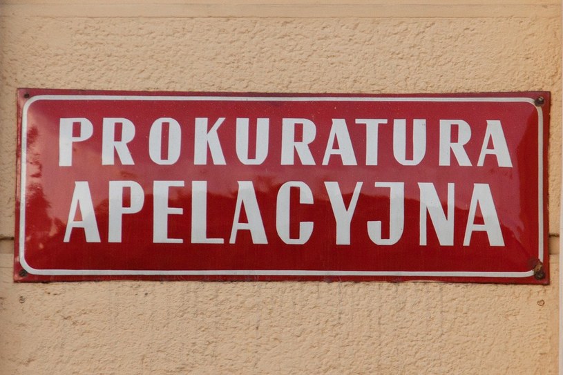 Jeśli Krajowa Rada Prokuratury przystanie na wniosek Andrzeja Seremeta, Anna Habało zostanie szeregową prokurator rzeszowskiej apelacji /Maciej Goclon /East News