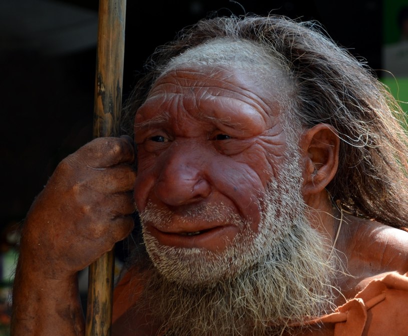 Jeśli nie lubisz swojego nosa możesz podziękować za to Neandertalczykom /HORST OSSINGER /DPA/ dpa Picture-Alliance via AFP