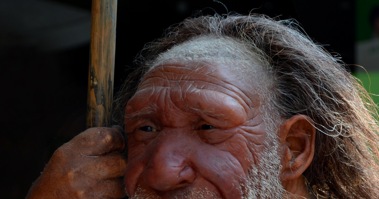 Jeśli nie lubisz swojego nosa możesz podziękować za to Neandertalczykom /HORST OSSINGER /DPA/ dpa Picture-Alliance via AFP