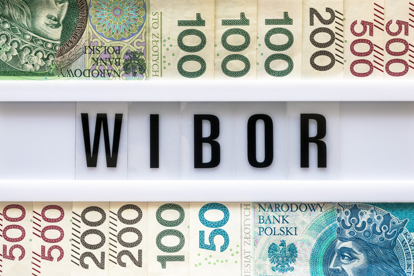 Jeśli nie WIBOR to co? /Arkadiusz Ziółek /East News