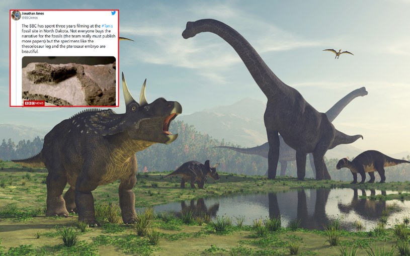 Jeśli wydobyty ze skał dinozaur naprawdę zakończył swoje życie w dniu, w którym w Ziemię uderzyła ogromna asteroida, byłoby to pierwsze takie znalezisko w historii /123RF/PICSEL