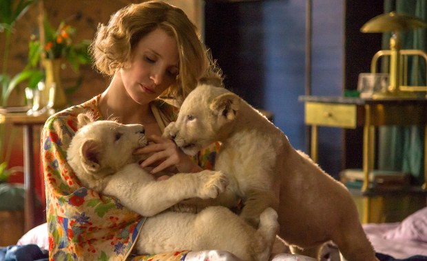 Jessica Chastain zagrała niezwykłą Polkę! Przyjechała na premierę filmu