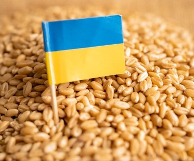 Jest decyzja w sprawie importu zboża z Ukrainy. "Musimy chronić polskich rolników"