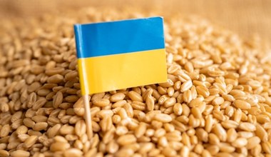 Jest decyzja w sprawie importu zboża z Ukrainy. "Musimy chronić polskich rolników"