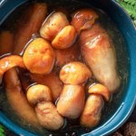 Jest go coraz więcej w polskich lasach. Zbieram już drugi rok i robię w delikatnej zalewie