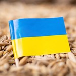 Jest kompromis między Warszawą a Brukselą ws. produktów rolnych z Ukrainy 