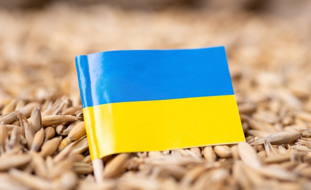 Jest kompromis między Warszawą a Brukselą ws. produktów rolnych z Ukrainy 