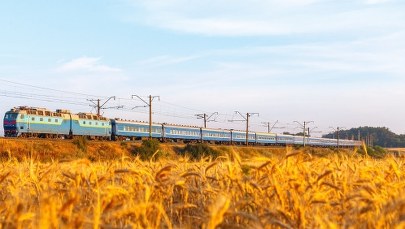 Jest lista firm, które importowały zboże z Ukrainy 