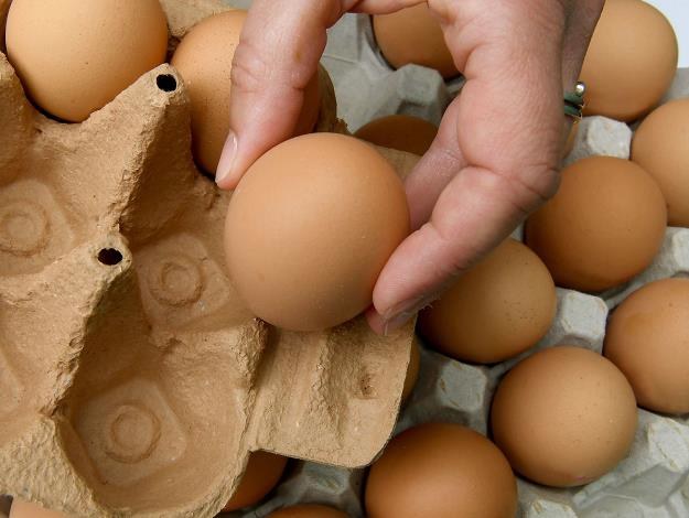 Jest nadpodaż, jaja na Wielkanoc będą tanie /AFP