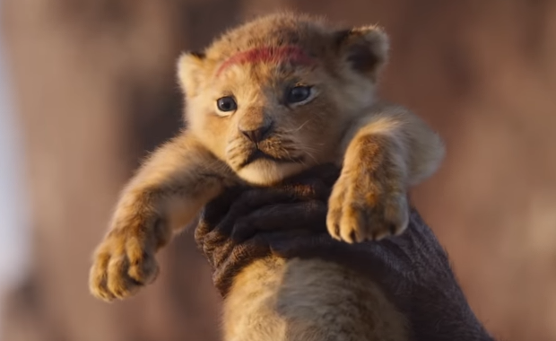 Jest nowy zwiastun "Króla Lwa"