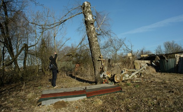 Jest opinia biegłych ws. metalu ze smoleńskiej brzozy
