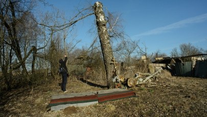 Jest opinia biegłych ws. metalu ze smoleńskiej brzozy