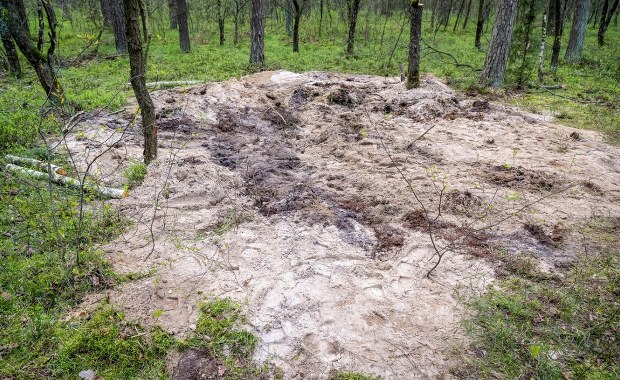 ​Jest opinia botaników ws. rakiety, która spadła pod Bydgoszczą