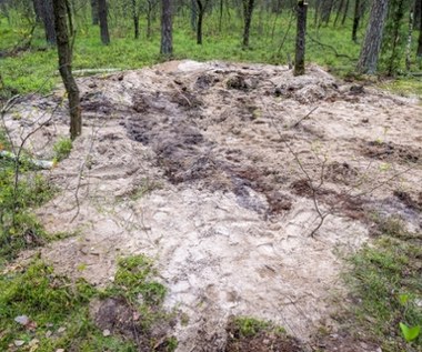 ​Jest opinia botaników ws. rakiety, która spadła pod Bydgoszczą