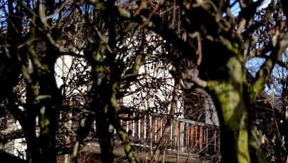 Jest polski trop w sprawie głośnej kolekcji zrabowanych obrazów