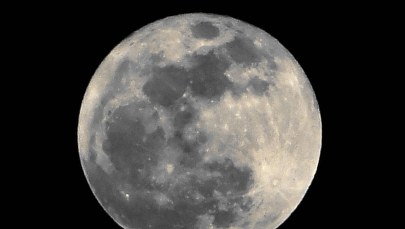 Jest pomysł ws. "osiedla księżycowego". To krok w kierunku podboju Marsa