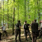 Jest porozumienie w sprawie bezcennego miejsce. Powstanie Las Olbrzymów