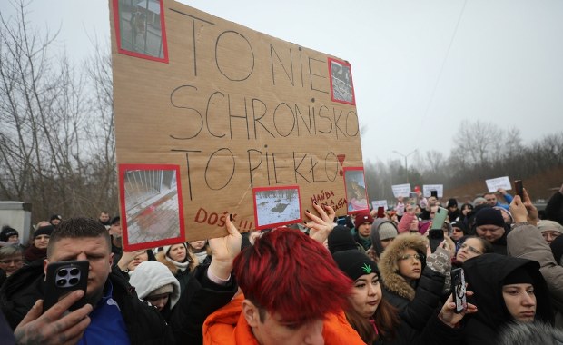 Jest śledztwo ws. schroniska w Bytomiu. Miasto apeluje o adopcje zwierząt