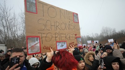 Jest śledztwo ws. schroniska w Bytomiu. Miasto apeluje o adopcje zwierząt